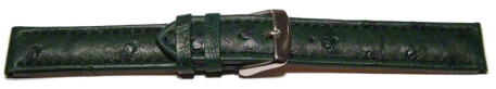 Dorn - Uhrenarmband - echt Strauss - dunkelgrün 22mm Stahl