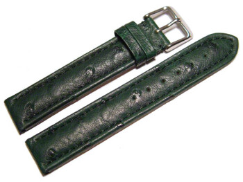 Dorn - Uhrenarmband - echt Strauss - dunkelgrün 22mm Stahl