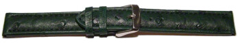 Dorn - Uhrenarmband - echt Strauss - dunkelgrün 24mm Stahl