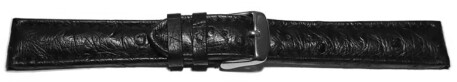Dorn - Uhrenarmband - echt Strauss - schwarz 18mm Schwarz